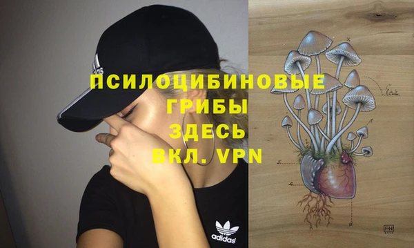 скорость Белокуриха
