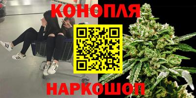 сатива Мариинск