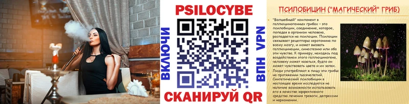 Галлюциногенные грибы мицелий  закладка  Гудермес 