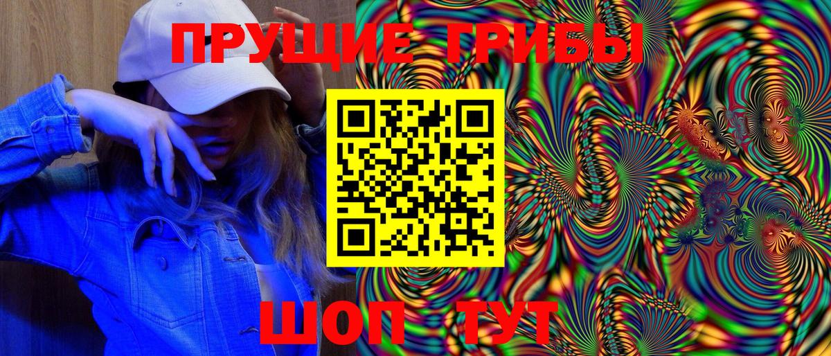 Псилоцибиновые грибы Cubensis Гудермес