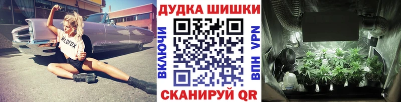 Конопля AK-47  Гудермес 